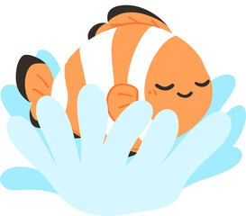 Nemo Clownfish with Sea ​​Anemone