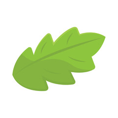 Simple tropical green leaf. Vector