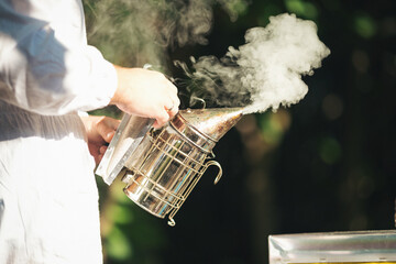 Young beekeeper  taking care of bee hives