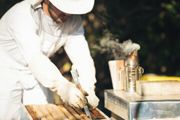 Young beekeeper  taking care of bee hives