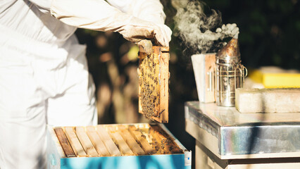 Young beekeeper  taking care of bee hives