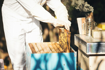 Young beekeeper  taking care of bee hives