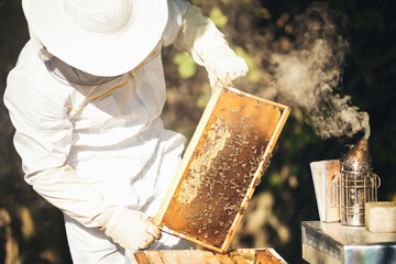 Young beekeeper  taking care of bee hives