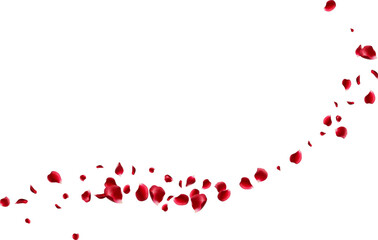 Red rose petals fly in a circle. The center free space for Your photos or text. white background
