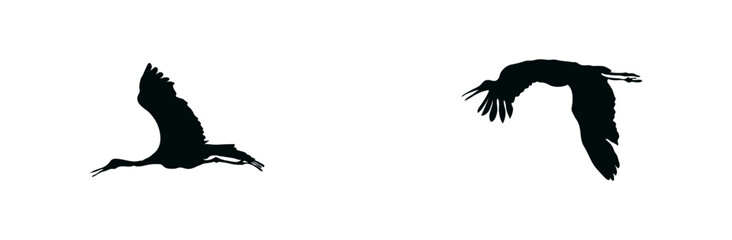 Silhouette of Two Birds in Flight Isolated