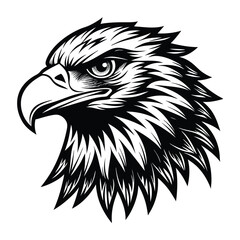 Obraz premium Black and white eagles head on white background