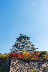 Osaka castle in autumn with autumn leaves and blue sky background in Osaka city Japan.
