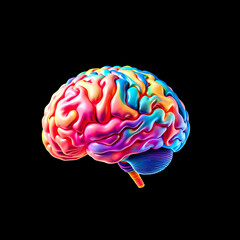 Human brain illustration in multiple colours on black background