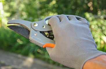 a gardener's hand in a glove holds a pruner. gardener work concept. working on the garden
