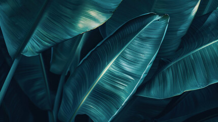 Dark teal tropical leaves texture background image