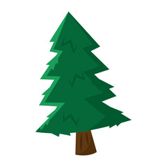Evergreen pine tree shape. Vector