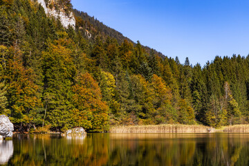 Majestic Lakes - Collection Miscellaneous Lakes