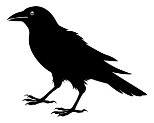 Crow Walking Silhouette SVG | Black Bird Vector Design