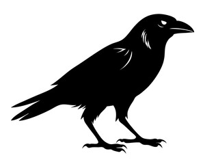 Crow Walking Silhouette SVG | Black Bird Vector Design