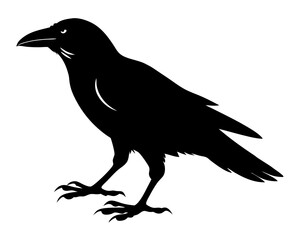 Crow Walking Silhouette SVG | Black Bird Vector Design