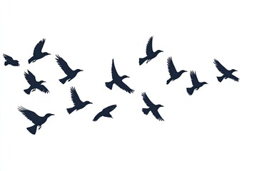 Flocking birds in flight (3)