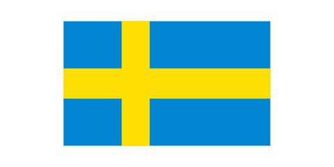 flag of Sweden vector