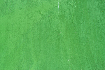 Close up background rough texture of abstract surface painted green.