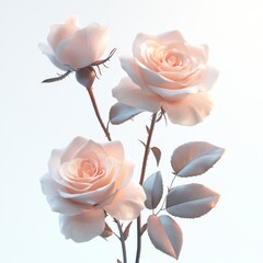 Softly Lit Pale Pink Roses: A Delicate Floral Arrangement Against a Clean White Background, Emphasizing Elegance and Natural Beauty