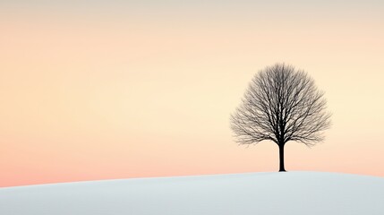 Single tree on the horizon line, standing tall against the backdrop of an expansive landscape.