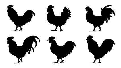 set of chicken