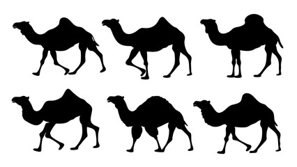 set of camel silhouette vector on tranparent background