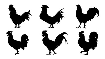 set of rooster different pose silhouette vector