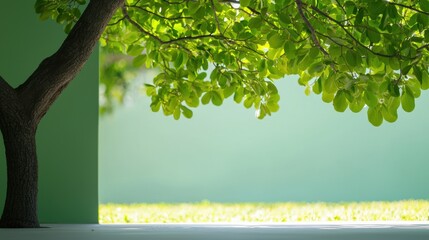 Obraz premium Tree in a schoolyard offering comfort and beauty, the result of thoughtful planning.