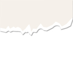 Paper torn. Ripped Paper. Strip of Ripped Paper