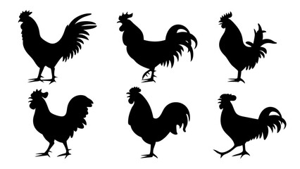 Fototapeta premium set of rooster different pose silhouette vector
