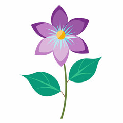 Minimal Clematis Vector on White Background