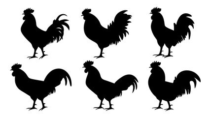 set of rooster different pose silhouette vector