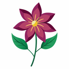 Minimal Clematis Vector on White Background