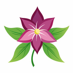 Minimal Clematis Vector on White Background