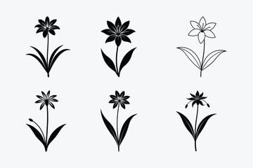 Agapanthus and Orchid Silhouette Vector Set &ndash; Minimal Line Art Flowers with Stems and Leaves