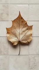 Fleecedeken met foto Dried maple leaf shows intricate vein details upon textured square tiles creating a vintage scene © Shipons Creative