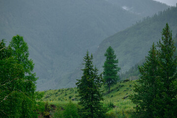 Mystical landscape of mountains in fog