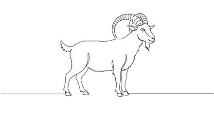 Fototapeta premium Goat standing in profile illustration on a simple background 
