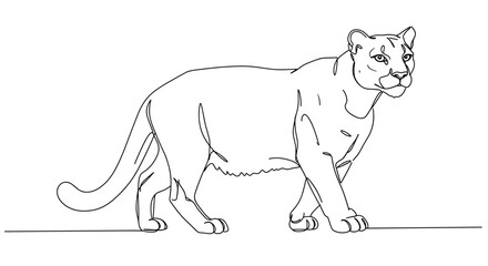 Obraz premium Mountain lion walking in a minimalist line art style 