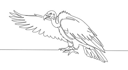 Obraz premium Vulture spreading wings in a minimalistic line-art style 