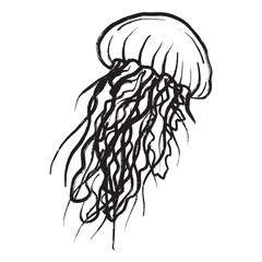 Jellyfish with tentacles in black brush stroke texture isolated on white. Hand drawn vector sketch illustration in vintage charcoal ink. Summer concept, marine underwater life, vacation, diving.