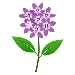 Simple Verbena Vector on White