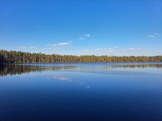 lake in the forest