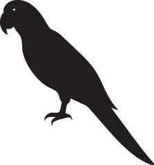 black color parrot silhouette with white backgroun 27