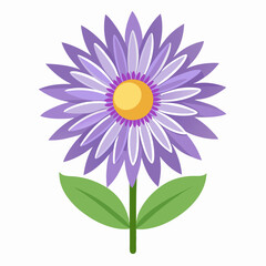 Minimal Aster Vector on White Background