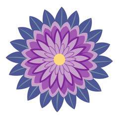 Minimal Aster Vector on White Background