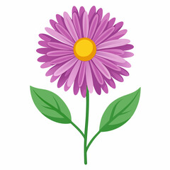 Minimal Aster Vector on White Background