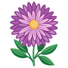Minimal Aster Vector on White Background