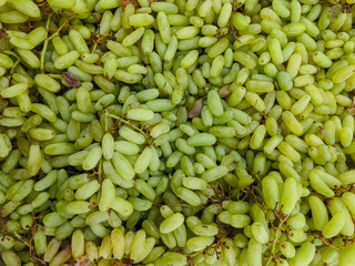 A grape is a fruit, botanically a berry, of the deciduous woody vines of the flowering plant genus Vitis. Grapes are a non-climacteric type of fruit, Grapes varieties of Black Grapes & white Grapes.