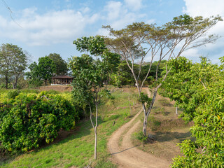 Landschaft mit Haus am Hang und Weg zwischen hohen Bäumen 